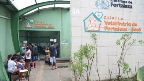 fortaleza-tera-mutirao-de-castracao-de-caes-e-cadelas;-inscricoes-ocorrem-nesta-quarta-feira-(17)