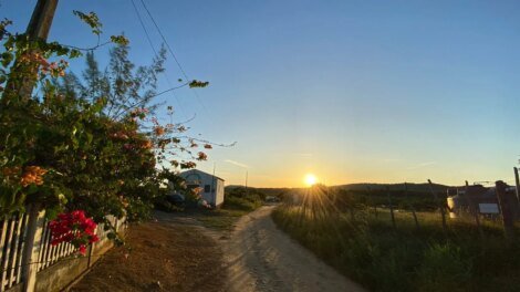 mais-da-metade-do-territorio-do-ceara-esta-sem-seca;-aponta-monitor