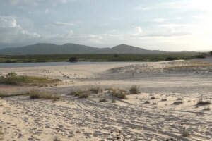 corpo-de-mulher-desaparecida-e-encontrado-com-tiros-na-cabeca-em-praia-na-grande-fortaleza