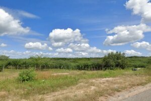 ladroes-furtam-17-ovelhas-de-propriedade-na-zona-rural-de-crateus,-no-ceara