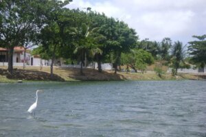 prefeitura-de-fortaleza-da-inicio-a-acoes-de-limpeza-nas-lagoas-da-capital