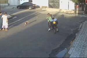 homem-atira-pedra-contra-um-cachorro-no-bairro-joao-xxiii