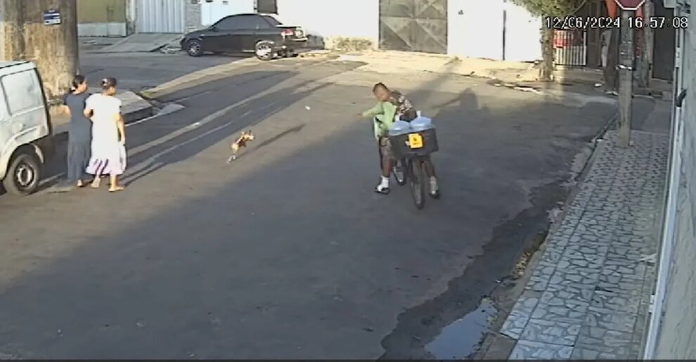 homem-atira-pedra-contra-um-cachorro-no-bairro-joao-xxiii