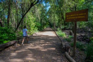 lazer-ao-ar-livre-em-fortaleza:-parques-cercados-pela-natureza-sao-refugio-para-familias-e-amigos