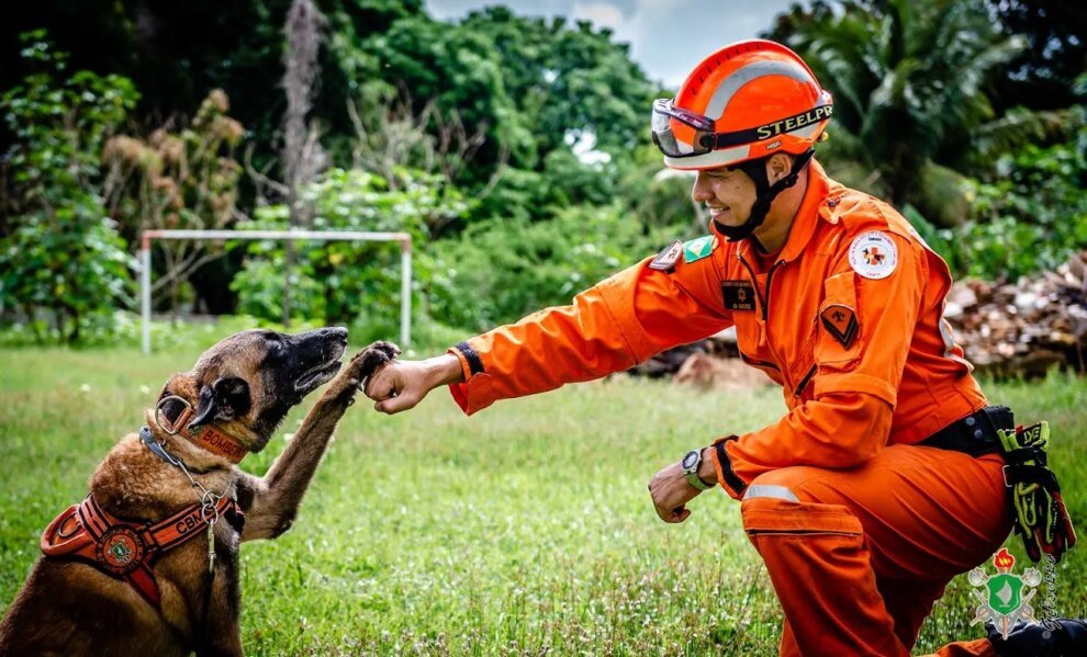 mais-de-6-mil-animais-foram-resgatados-nos-primeiros-seis-meses-de-2024-no-ceara