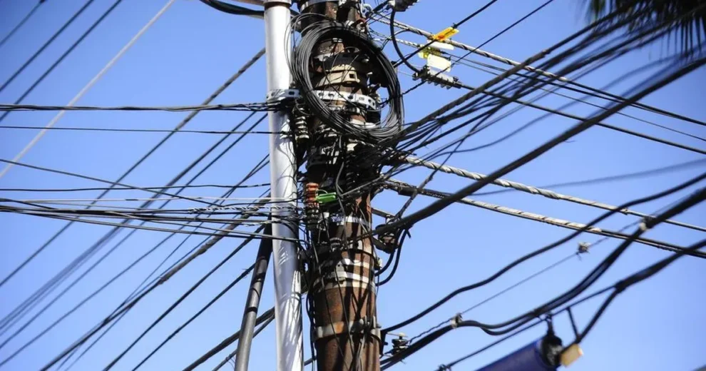 enel-alerta-para-risco-de-queimadas-proximas-a-rede-eletrica;-95%-dos-casos-em-2023-aconteceram-no-segundo-semestre