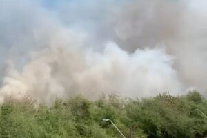 incendio-em-vegetacao-e-registrado-na-avenida-alberto-craveiro,-em-fortaleza