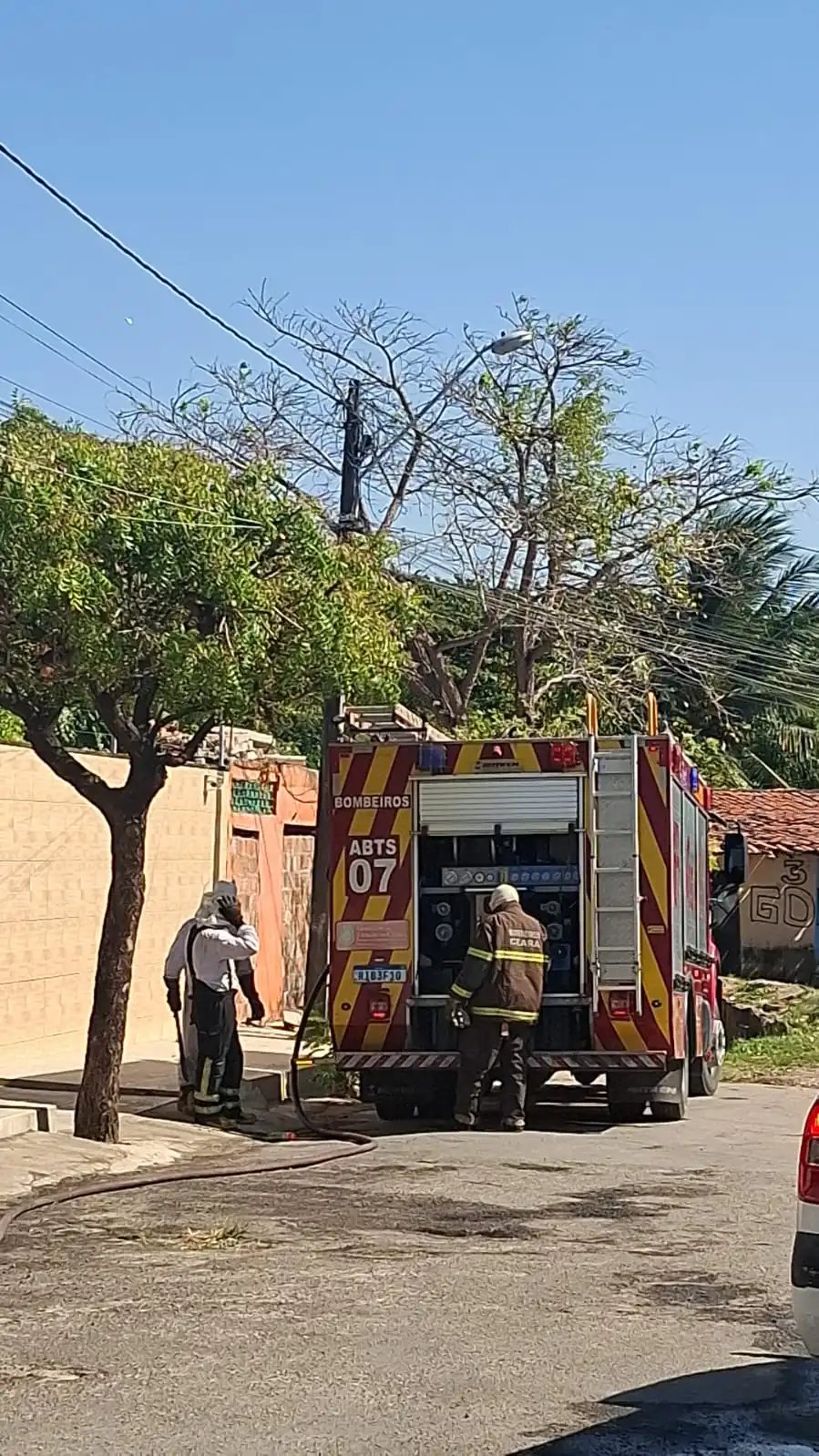 ataque-de-abelhas-mata-quatro-caes-e-deixa-moradores-feridos-em-fortaleza