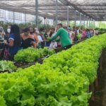 horta-social-de-jacarecanga-realiza-primeiro-plantio-e-beneficiara-400-pessoas