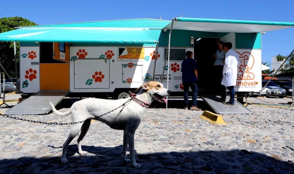 fortaleza:-atendimentos-do-vetmovel-no-riomar-kennedy-sao-prorrogados-ate-sexta-feira-(22)