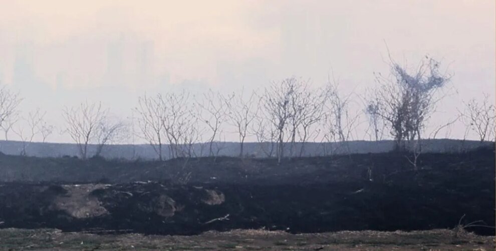 sema,-assembleia,-bombeiros-e-policia-se-reunem-no-parque-do-coco-para-tratar-de-incendio