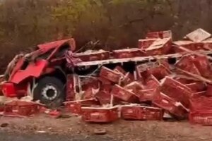 caminhao-com-carregamento-de-frangos-vivos-tomba-na-divisa-entre-o-ceara-e-o-piaui