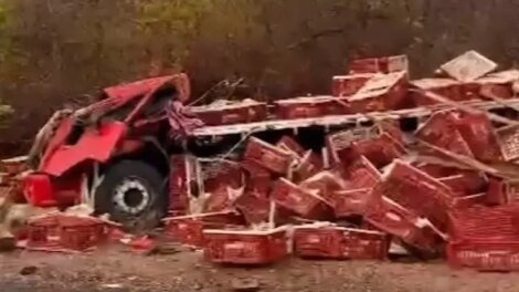 caminhao-com-carregamento-de-frangos-vivos-tomba-na-divisa-entre-o-ceara-e-o-piaui