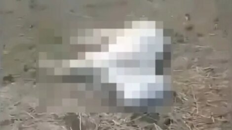 raio-mata-18-cabecas-de-gado-durante-chuva-em-lavras-da-mangabeira,-no-interior-do-ceara