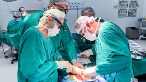 ceara-supera-marca-historica-de-transplantes-de-orgaos-e-tecidos-em-2024