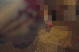 homem-e-morto-a-tiros-a-mando-de-faccao-apos-tentar-mudar-de-grupo-criminoso