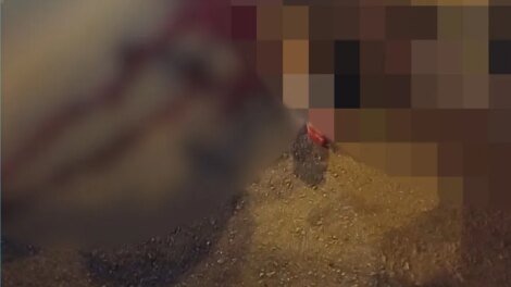 homem-e-morto-a-tiros-a-mando-de-faccao-apos-tentar-mudar-de-grupo-criminoso