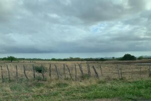 ceara-deve-ter-chuvas-fracas-e-isoladas-na-sexta-(17)-e-no-sabado-(18),-indica-funceme