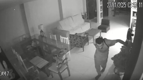 cadela-expulsa-assaltante-de-residencia-em-fortaleza;-veja-video-do-momento