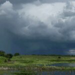 ceara-tem18-cidades-em-alerta-para-risco-de-chuvas-intensas-ate-sabado-(1o)