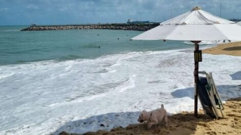 fortaleza-tem-11-trechos-de-praia-proprios-para-banho-neste-fim-de-semana