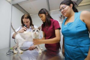 pet-ceara-movel-chega-a-cidade-de-maracanau-nesta-segunda-feira-(17)