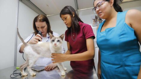 pet-ceara-movel-chega-a-cidade-de-maracanau-nesta-segunda-feira-(17)