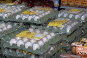 gripe-aviaria-derruba-producao-de-ovos-nos-eua-e-faz-precos-dispararem-no-brasil