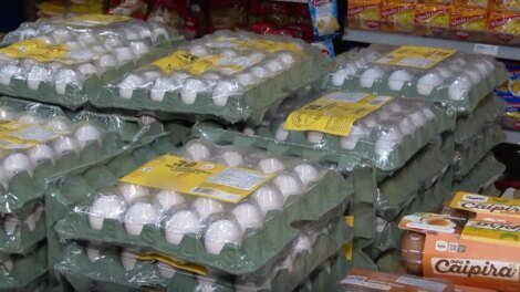 gripe-aviaria-derruba-producao-de-ovos-nos-eua-e-faz-precos-dispararem-no-brasil