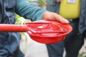fortaleza-recebera-acoes-educativas-de-prevencao-as-arboviroses