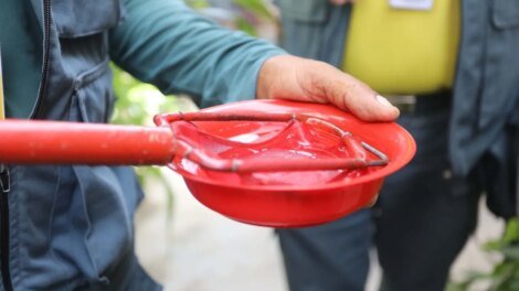 fortaleza-recebera-acoes-educativas-de-prevencao-as-arboviroses