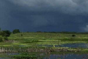 funceme-registra-chuvas-em-mais-de-100-municipios-do-ceara;-veja-os-maiores-indices