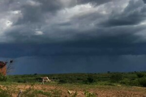mais-de-120-municipios-do-ceara-registram-chuvas-no-inicio-do-carnaval;-maximas-chegam-a-147-mm