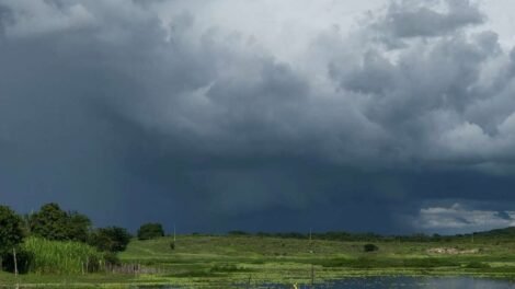 ceara-tem-aviso-de-chuvas-intensas-durante-o-domingo-de-carnaval;-saiba-os-locais