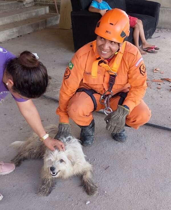 bombeiros-resgatam-cachorro-que-caiu-em-barranco-ao-perseguir-macacos-em-vicosa-do-ceara