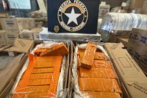 receita-federal-e-pm-apreendem-mais-de-50-kg-de-skunk-na-br-116-em-fortaleza