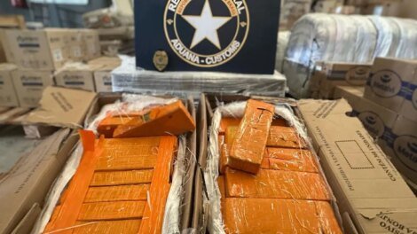 receita-federal-e-pm-apreendem-mais-de-50-kg-de-skunk-na-br-116-em-fortaleza