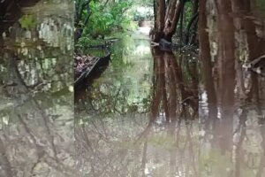 trilhas-do-parque-estadual-do-coco-em-fortaleza-estao-fechadas-devido-as-fortes-chuvas