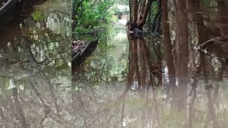 trilhas-do-parque-estadual-do-coco-em-fortaleza-estao-fechadas-devido-as-fortes-chuvas