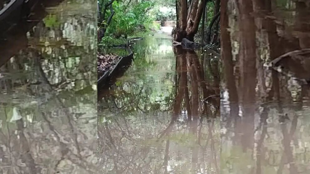 trilhas-do-parque-estadual-do-coco-em-fortaleza-estao-fechadas-devido-as-fortes-chuvas