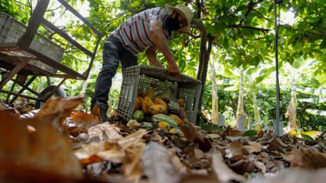 elmano-anuncia-investimento-de-r$-572-milhoes-para-a-agricultura-familiar-no-ceara