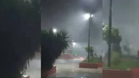 chuva-com-ventania-derruba-arvores-e-causa-queda-de-muro-de-creche-em-hidrolandia