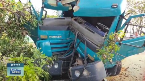 acidente:-caminhao-derruba-arvore-em-fortaleza-e-motorista-e-hospitalizado
