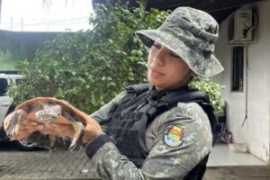 policia-militar-resgata-cagado-que-apareceu-em-residencia-de-fortaleza