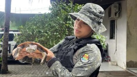 policia-militar-resgata-cagado-que-apareceu-em-residencia-de-fortaleza
