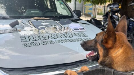 denuncia-anonima-resulta-em-apreensao-de-arma-e-droga-pelo-policiamento-com-caes