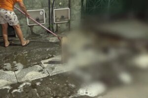 flanelinha-e-morto-a-tiros-na-rua-por-dois-homens-em-moto,-em-fortaleza