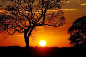 alto-santo-registra-maior-temperatura-de-abril-no-ceara-ate-o-momento;-confira-a-lista