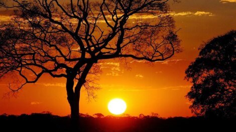 alto-santo-registra-maior-temperatura-de-abril-no-ceara-ate-o-momento;-confira-a-lista