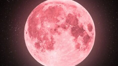 lua-rosa-podera-ser-observada-neste-domingo-(13)-no-brasil